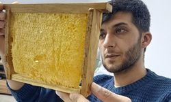 Araban Balına Yoğun İlgi