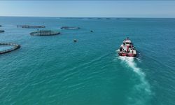 Kota Sistemiyle Balık Üretiminde Tarihi Zirve