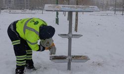 Şehitkamil'de Can Dostlar Unutulmadı