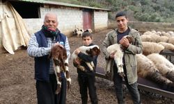 Antep’te Enkaz Altından Umut Çıktı