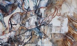 Biraz Taş, Biraz Hayvan, Biraz Düş