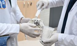 Buğday Tanesi Merkezi Depremzedelere Umut Oldu