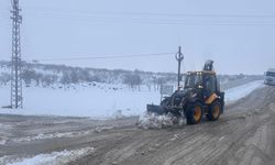 Büyükşehir'den Kırsalda Karla Mücadele