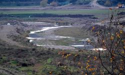 Gaziantep’te Yağışlar Çiftçiye Umut Oldu