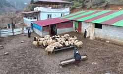 Depremde Kaybetti, Destekle Ayağa Kalktı