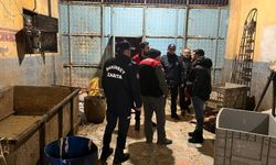 Gaziantep'te Zabıta Baskınında Şoke Eden Görüntüler