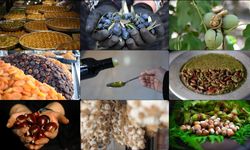 Gaziantep Zirvedeki Yerini Korudu