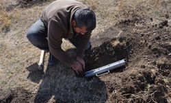 Gaziantep’te Üç Yeni Tür Keşfedildi