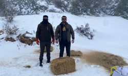 Yaban hayvanları unutulmadı