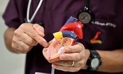 Kalp Krizi ve Felçte Gizli Tehdit: Mikroplastikler