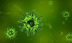 Nipah Virüsü Türkiye İçin Risk Oluşturuyor mu?