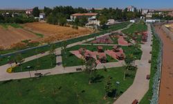 Gaziantep’te Tarımın Sessiz Gücü: Oğuzeli