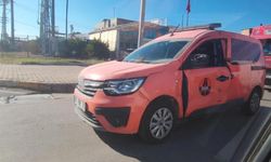 Pes Dedirten Görüntü