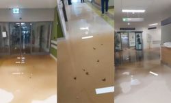 Şahin’den “Lağım” İddialarına Yalanlama