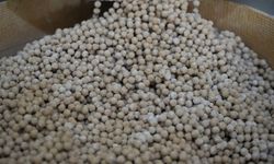 Gaziantep Mutfağının En Zahmetli Lezzeti: Yuvalama