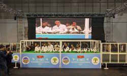 Türkiye’nin Dört Bir Yanından Kuşçular Gaziantep’te Buluştu