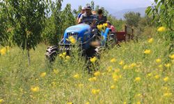 Gaziantep Traktör Ligine Girdi