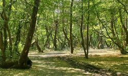Kilis’te Girişler Yasak