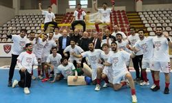 Kupa Volkan Group’un