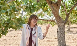 Fatma Şahin'den Tarihi Müjde