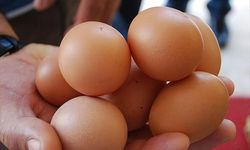Yumurtaları Buzdolabında Yanlış Yere Koyuyormuşuz