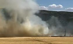Araban’da Hasat Öncesi Korkutan Yangın