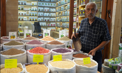 Tohumculukta 57 Yıllık Başarı