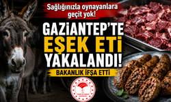 Gaziantep'te Eşek Eti Şoku