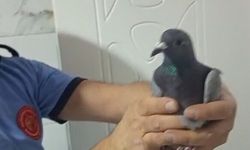 İslahiye’de Sevindiren Kurtarma