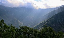 Amanoslar'ın Tescilli Harikası: Hızır Yaylası