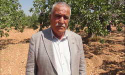 Cuma Yiğit: Buğday Pahalanırsa Ekmek de Zamlanır