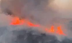 Oğuzeli'nde Buğday Tarlası Alevlere Teslim Oldu