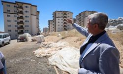 Şahinbey'de Sosyal Konutlar Yükseliyor