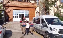 6 İlde "Sahte Hayvan Pazarı" Operasyonu