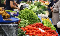 Mayısta fiyatı en çok artan ürün belli oldu