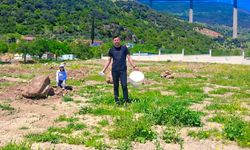 Yeşil Gelecek İçin Bin Fidan