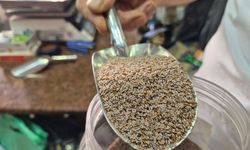 Zayıflama Sürecinde Karnıyarık Otu Tohumu Etkisi