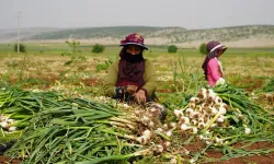 Gaziantep’in Tescilli Lezzeti Dünya Listesinde