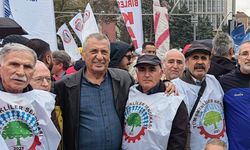 CHP'li Vekilden Emekliler İçin Yeni Çağrı