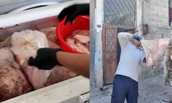 Zabıta Bastı, Gerçek Ortaya Çıktı