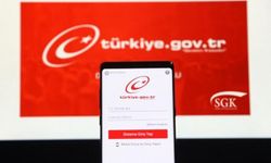 e-Devlet'te En Çok Tıklanan Hizmet Belli Oldu