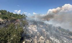 Gaziantep'te Korkutan Orman Yangını