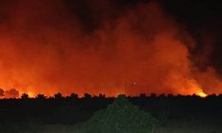 İslahiye'de Korkutan Anız Yangını