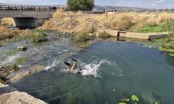 Sıcaktan Kaçarken Ölümü Göze Aldılar