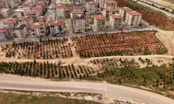 Gaziantep'te yeni yaşamın adresi bu bölgeler