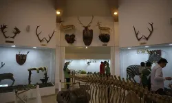Gaziantep'te Zamanı Durduran Müze