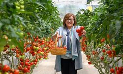 Büyükşehirden çevreci üretim modeli