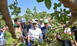 Şahin’den Fıstık Üreticisine Güvenlik Müjdesi