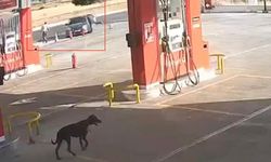 Gaziantep’teki silahlı kavga kamerada