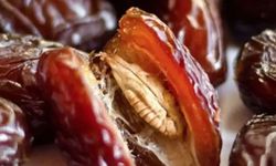Avuç Avuç Yemek İçin Bir Neden Daha! Saç Dökülmesine İyi Geliyor